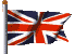 Read Website in English